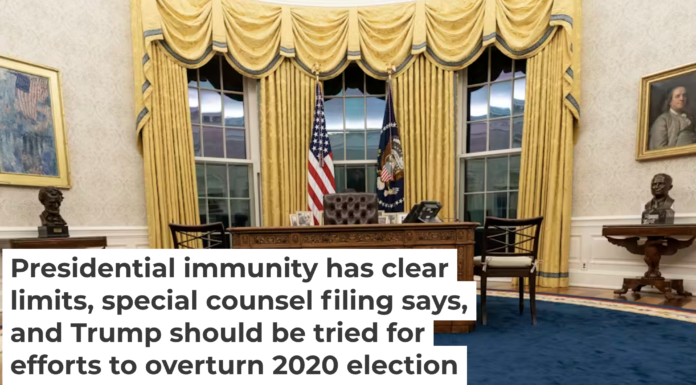 Who will define the limits of the Oval Office occupant’s immunity? AP Photo/Alex Brandon